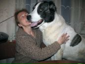 Фотография Коростелёвой Ольги