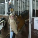 Фотография Prokofyeva Anya