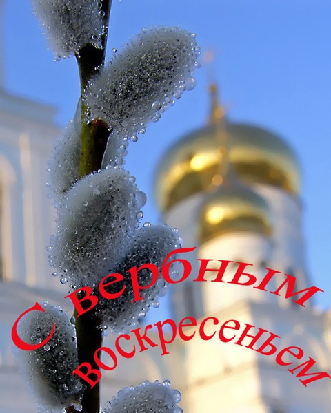 №3, Лидия Маркелова №3, Лидия Маркелова