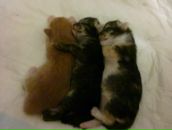 Фотография Назаровой Алены