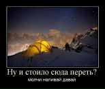 Фотография Скворцова Александра