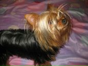 Міша Похило фотография #24 (источник - https://vk.com/id133682456)