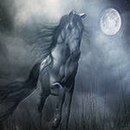 Діана Бачєвська фотография #1
