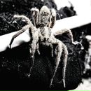 Евгений Савин фотография #45 (источник - https://vk.com/id5156621)