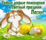 Ірина Рой фотография #7 (источник - https://vk.com/id68346548)