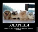 Антон Бабуцкий фотография #23 (источник - https://vk.com/id1267720)