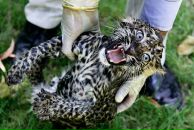 Сергей Петров фотография #22 (источник - https://vk.com/id1045484)