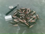 Ігор Якимчук фотография #6 (источник - https://vk.com/id32548123)