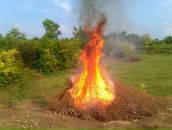 Михаил Гребінний фотография #31 (источник - https://vk.com/id83668306)