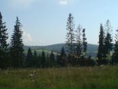 Сергій Слав'янський фотография #31 (источник - https://vk.com/id39792263)
