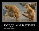 Діма Пудрик фотография #10 (источник - https://vk.com/id157683808)