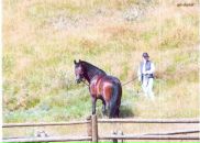 Фотография Кондаковой Ольги