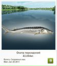 Сєрий Матвійшин фотография #35 (источник - https://vk.com/id111466338)