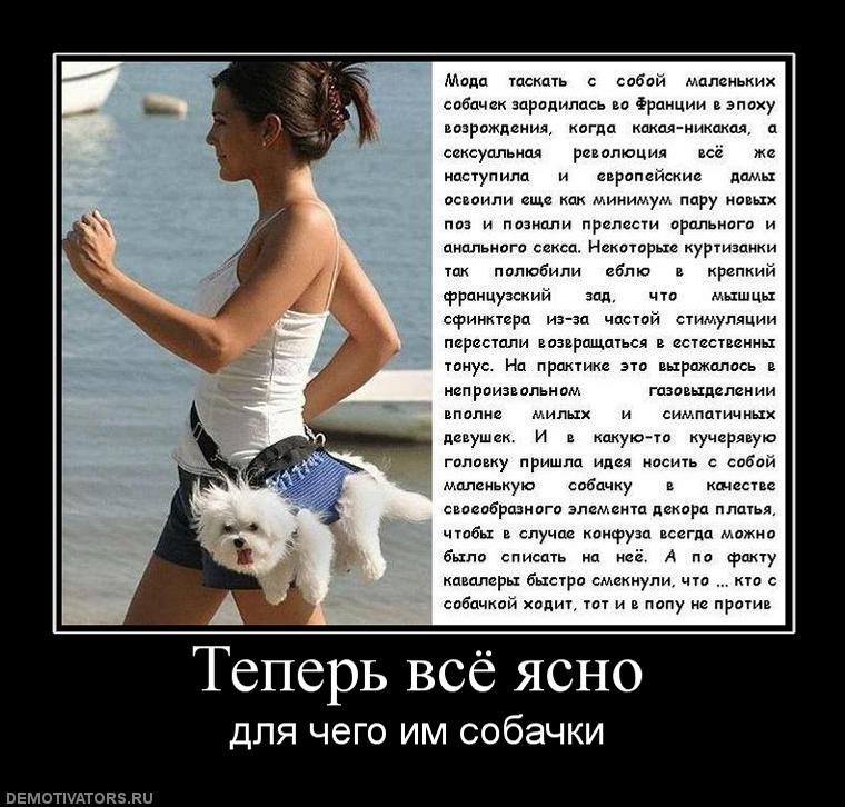 Иван Иванов фотография #16