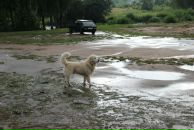 Иван Любченко фотография #41 (источник - https://vk.com/id682883)