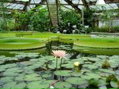 Люба Иванова фотография #42 (источник - https://vk.com/id184137)