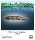 Вадім Горковенко фотография #5 (источник - https://vk.com/id132061658)