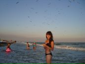 Фотография Marchenko Ekaterina