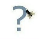 Фотография Заграя Артема