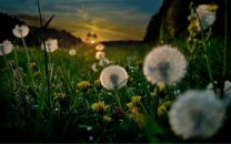 Фотография Маковской Юлии