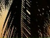 Ірина Прошак фотография #3 (источник - https://vk.com/id65645545)