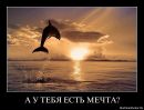 Сергей Васильев фотография #37 (источник - https://vk.com/id103349557)