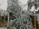 Інна Бурко(ковальська) фотография #27 (источник - https://vk.com/id151079614)