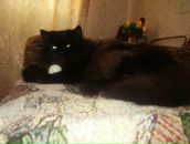 Дюрі Масяк фотография #7 (источник - https://vk.com/id19779231)