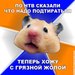  фотография #37