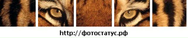 Вадім Русанюк фотография #35 (источник - https://vk.com/id109336410)