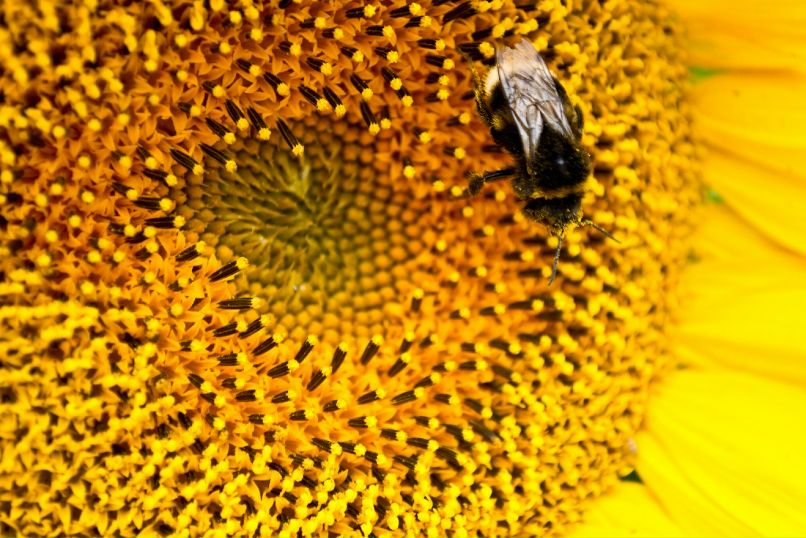 Антон Девяткин фотография #41