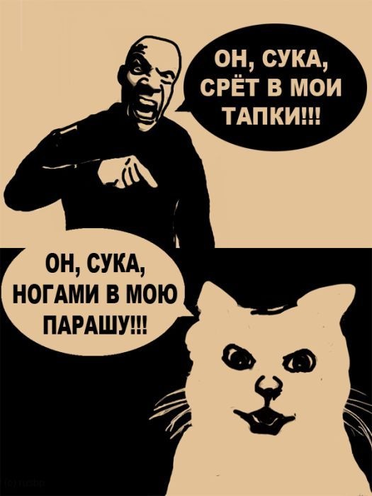 Mark Anderson фотография #47