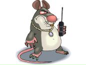 Фотография Несмеевой Анны