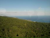 Дмитрий Брагин фотография #33 (источник - https://vk.com/id16422932)