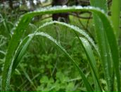 Фотография Хаецкой Натальи