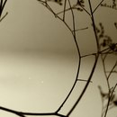 Фотография Gavrilenko Misha