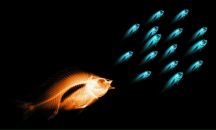 Сергей Студников фотография #4 (источник - https://vk.com/id3133557)