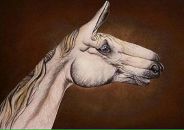 Сергій Хеміч фотография #42 (источник - https://vk.com/id11054151)