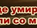 Олюся ...=* фотография #18 (источник - https://vk.com/id139113159)