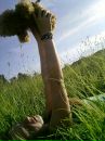 Фотография Медовиков Митя