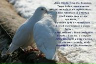 Вероніка Горобець фотография #11 (источник - https://vk.com/id103186440)