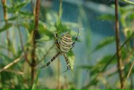 Виталий Маланин фотография #23 (источник - https://vk.com/id698311)