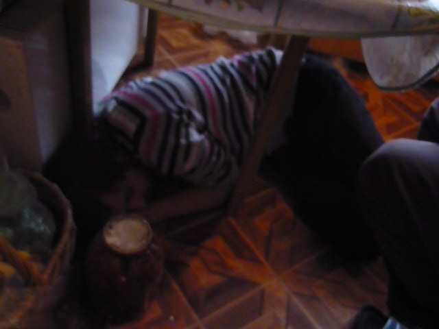 Дмитрий Филиппов фотография #32