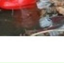 Галя Зінчук фотография #10 (источник - https://vk.com/id66067971)