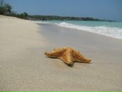 Фотография Варвариной Марии