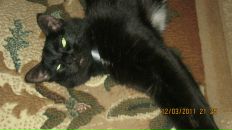 Фотография С Натальи