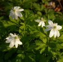 Фотография Мишуниной Татьяны