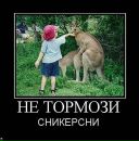 Алина Медкова фотография #15 (источник - https://vk.com/id419266051)