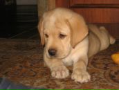 Фотография Жарковой Дарьи