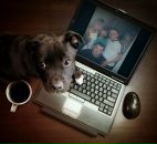 Фотография Резцова Александра